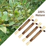 olyee Silvervine Cat Chew Sticks Kitten Toys Dental Health Natural view 6