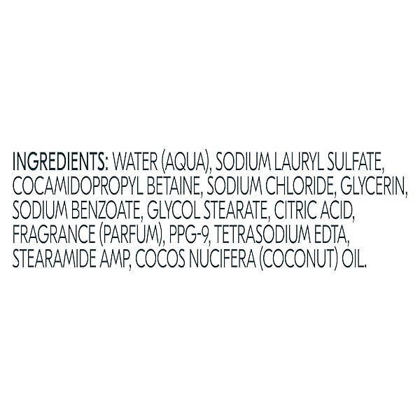 DEGREE ALL DAY FRESH BODY WASH FRESH COCONUT DEEP CLEANSING 20 OZ