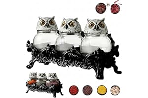 Witchy Owl Apothecary Spice Jars,Handcrafted Owl Spice Jar Set for Salt Pepper,Glass Vintage Gothic Decorative Kitchen Storag