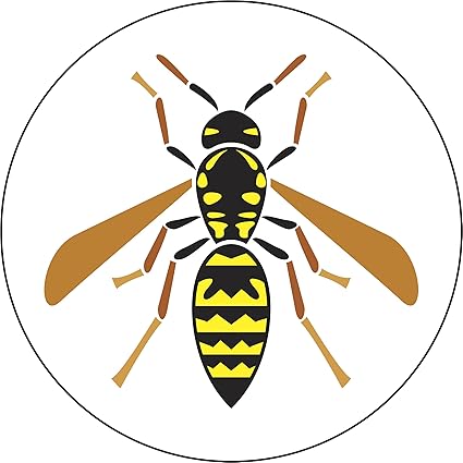 Wasp Cartoon Photos 11 199 Wasp Stock Image Results