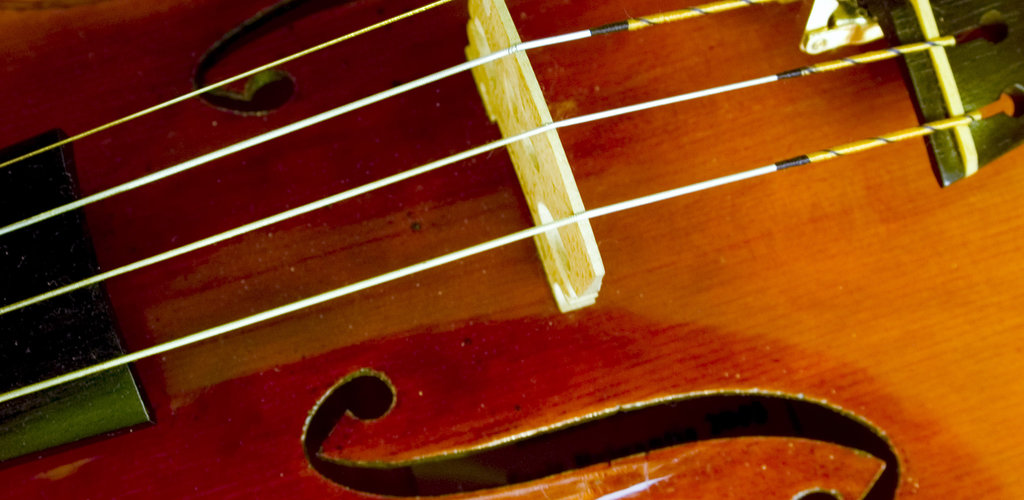 Violin Lessons For Beginners