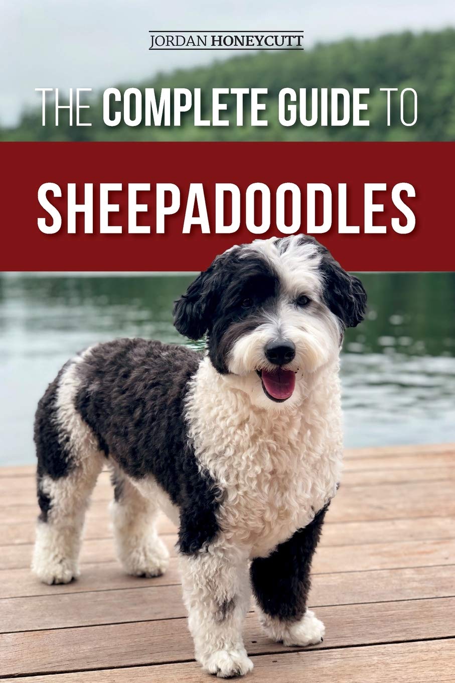 i love sheepadoodle