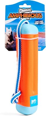Chuckit Amphibious Bumper Dog Toy 23cm Water Fetch Toy view 5