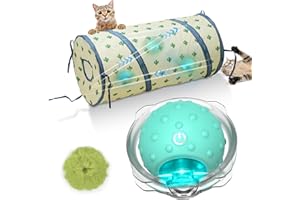Saolife Interactive Cat Toys Ball for Indoor Cats Fast Rolling in Tunnel, Motion Activate Cat Toy with Chirping, Hide and Seek Mouse Catching Toy (Green)