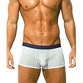 PAIZH Mens Sexy See Through Underwear Ice Silk Boxer Briefs Ultra Thin Trunks Soft Bulge Pouch Sheer Boxer Shorts