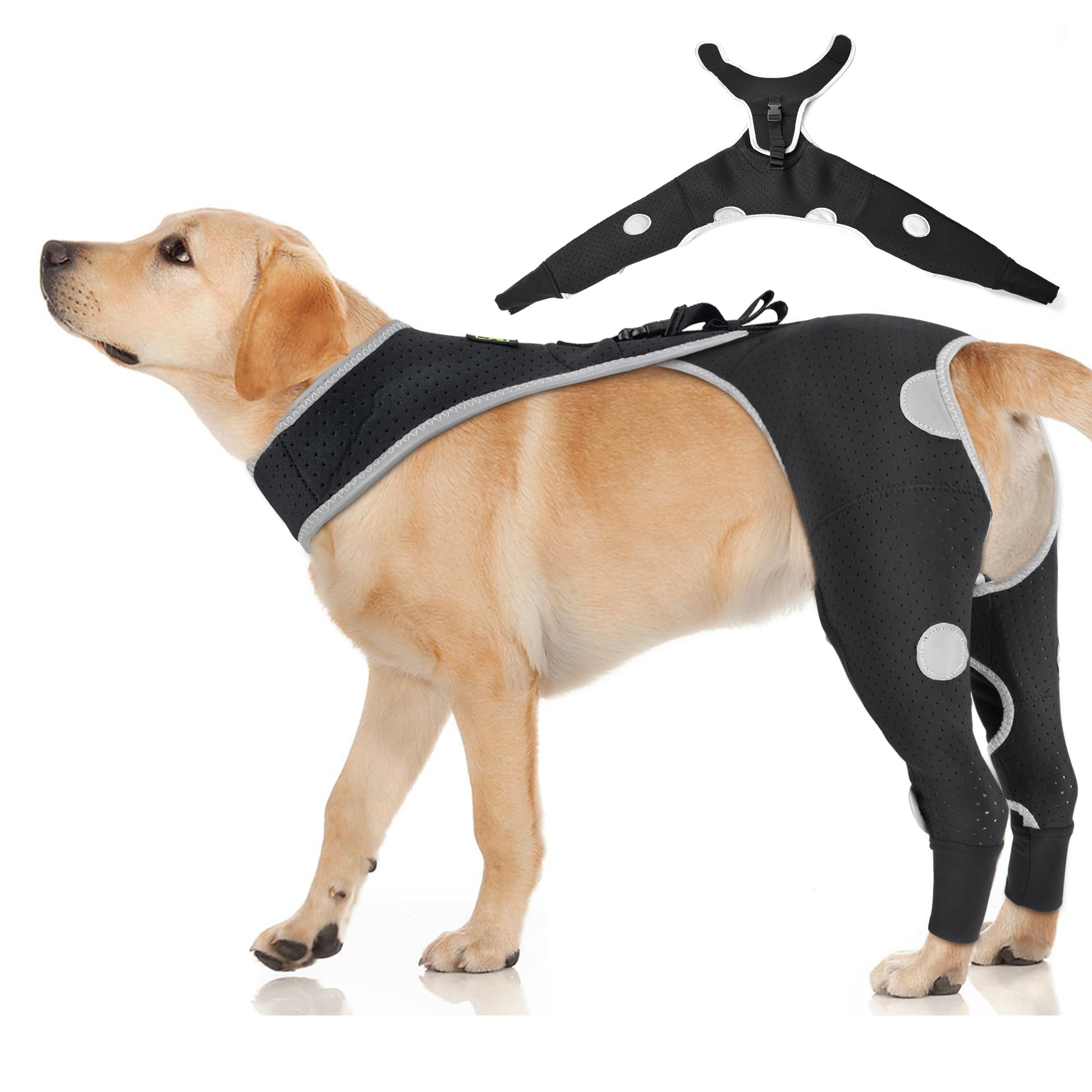 Photo 1 of Reflective Dog Sleeve to Prevent Licking– Breathable Hind Leg Sleeve with a Back Buckle for Wound Protection– Abrasion Resistant Back Leg Brace After Surgery for Small Dogs, Cone Alternative– Size S
