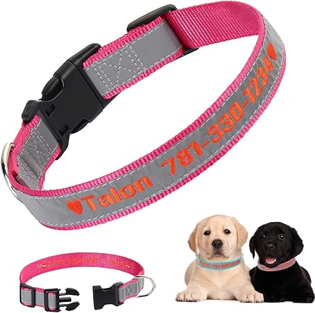 embroidered dog collars amazon