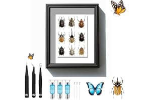 DDDZERONG Butterfly Specimen Kit Includes pins, mounting Board, Spreading Tools, Display case, Labels, Forceps, Preserving and showcasing Butterfly specimens.Shadow Boxes (BIACK-01) (WHITE-01)