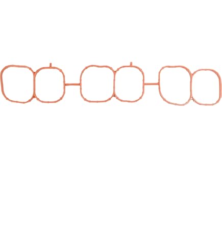 Amazon.com: DNJ MG656 Plenum Gasket (Fuel Injection) for 2007-2022