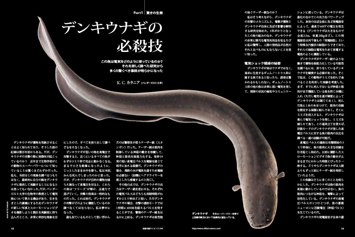 動物の行動と進化 環境が育んだ驚異 別冊日経サイエンス244 日経サイエンス編集部 本 通販 Amazon