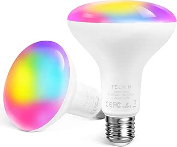 teckin smart bulb google home