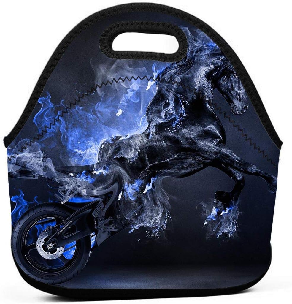 motorcycle lunch bag