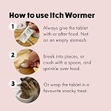 Itch Cat Flea and Wormer Bundle 1kg+ 3 Flea Pipettes 2 Worming Tablets view 5