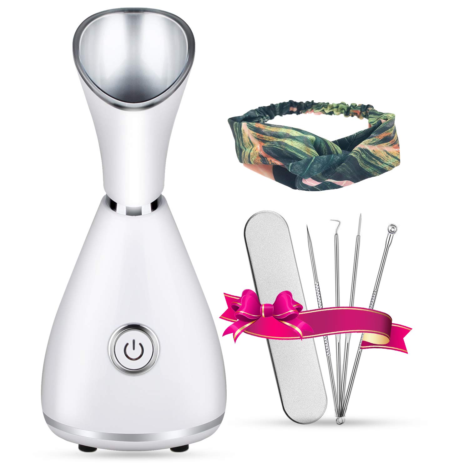 Best 220V Face Steamer