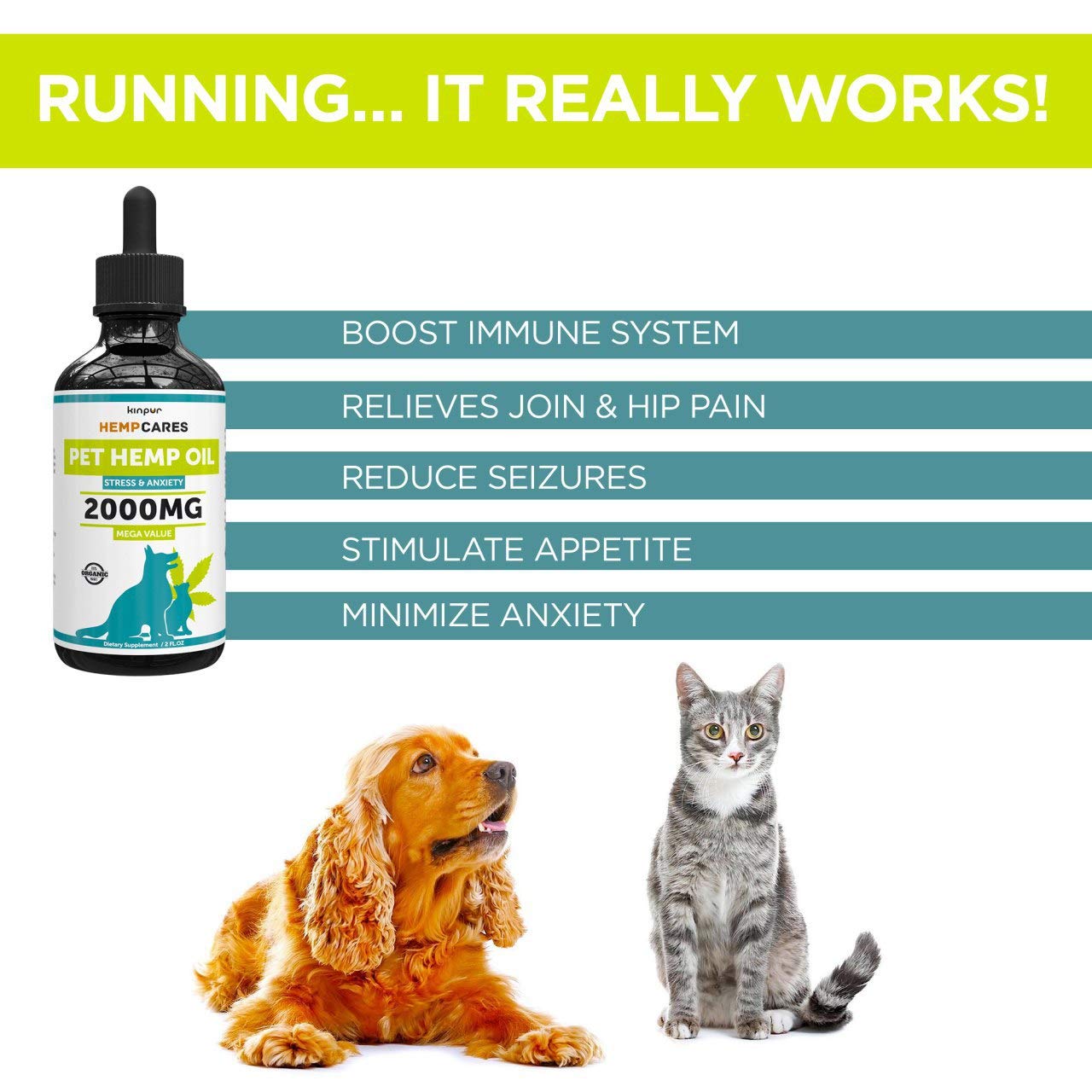 Kinpur (2 PACK | 120 000MG) Hemp Oil for Dogs & Cats ...