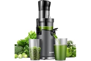 Cold Press GDOR Juicer with 3.5” Feed Chute, Tritan Material, Powerful 100NM Motor Slow Juicer Machines, Heavy Duty, Masticating Juice Extractor Fits Whole Fruits & Veggies, Easy to Clean, Cool Grey