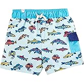 Mud Pie Baby Boys Swim Trunks, Fish, 2-3T US