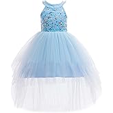 GetWish Girls Sequin Formal Dress Fancy Birthday Party Pageant Prom Toddler Sneaker Ball Gown Tulle Tutu Dress for Girls