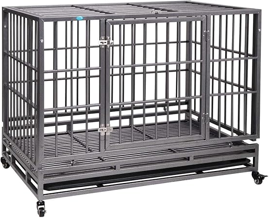 flat roof dog kennel