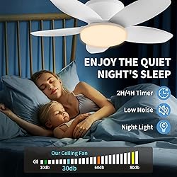 Yoobao Modern Ceiling Fans with Lights and