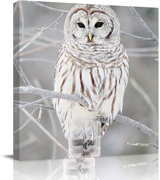 Amazon Com Flouky Modern Canvas Wall Art Square Art Painting For Bedroon Living Room Bathroom The Owl On Branch Winter Landscape Artworks Home Decor Framed Ready To Hang 12 X 12 Inch Posters