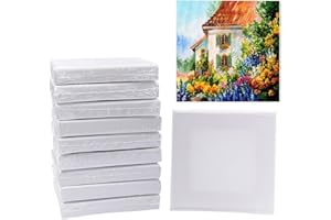 20 Pack Mini Canvas, 4 x 4 inch Small Canvas Boards Bulk, Blank Canvas Panels for Kids Art Painting Gift Wall Decoration