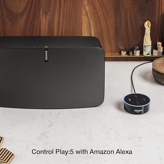 sonos play 5 controls