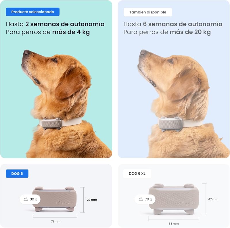- Cães GPS | Edição 2025 | Nº 1 no mercado | Localização em Tempo Real | Alertas Anti-Fugas | Monitor de Atividade | Alertas de Saúde | Rastreio de Latidos (Castanho)