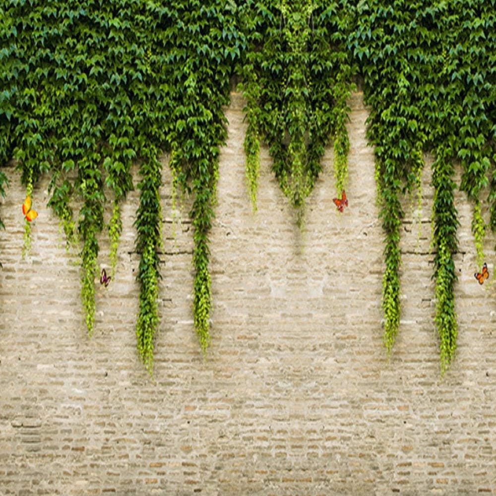 コレクション クリーパー 壁紙 Hd壁紙のダウンロード