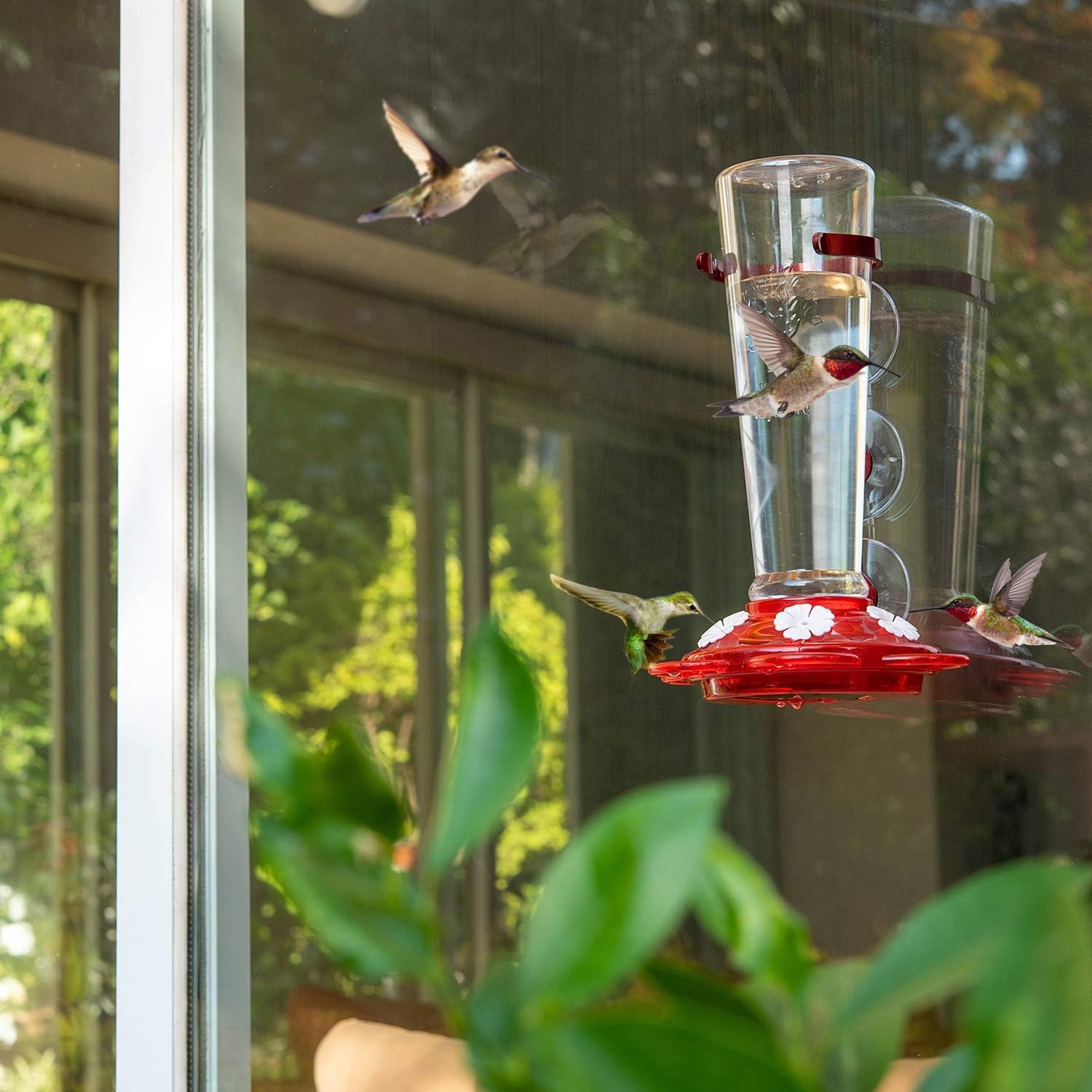 Nature Anywhere Window Hummingbird Feeders for Outdoors Including 3 Colors of Interchangeable Flowers for Hummingbirds Food and Nectar (Large) : Garden & Outdoor