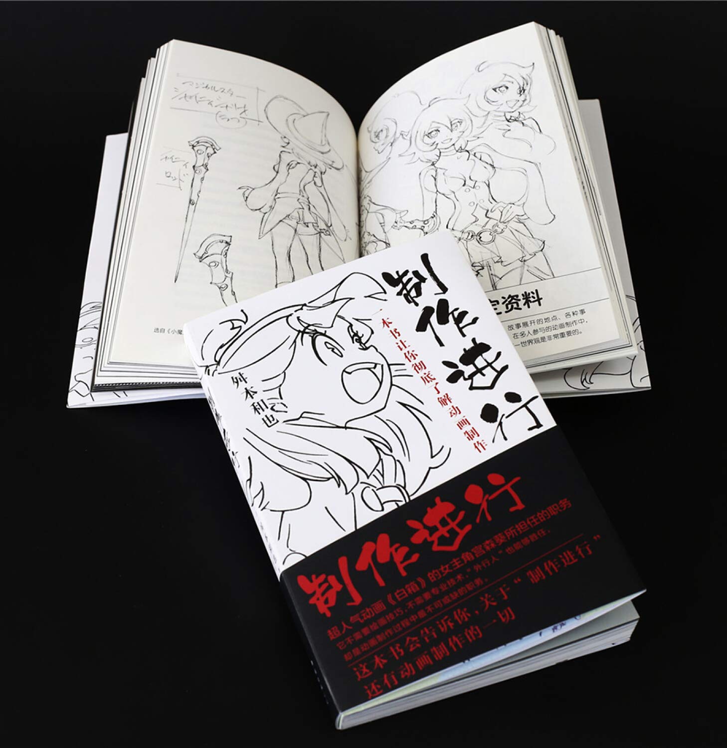 制作进行 一本书让你彻底了解动画制作 舛本和也王维幸 Amazon Com Books