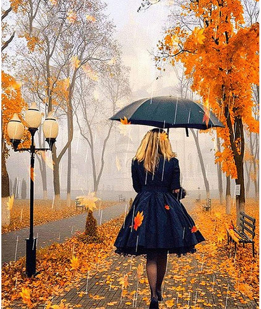 DIY 5D Full Drill Diamond Paint by Number Kits for Adults Arts Craft Canvas Paint with Diamonds Crystal Painting for Home Wall Decor