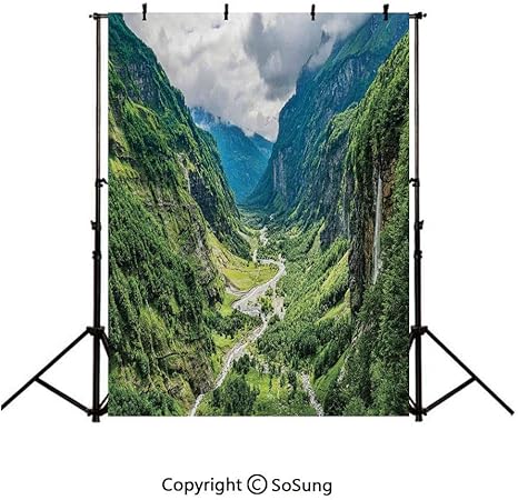 Amazon Com 3x5ft Vinyl Landscape Backdrop For Photography