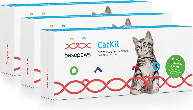 wild cat breeds list