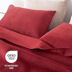 KASENTEX Plush Poly Velvet Lavish Design Quilt Set