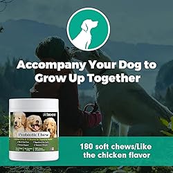 BIGHERO Probiotics for Dogs - Dog Probiotics with