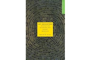 Ant Encounters: Interaction Networks and Colony Behavior