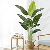 Keeplush Lifelike Bird of Paradise Artificial