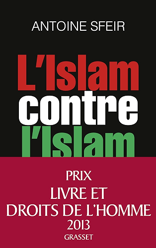 Download L'Islam contre l'Islam : L'interminable guerre des sunnites et des chiites (essai français) PDF