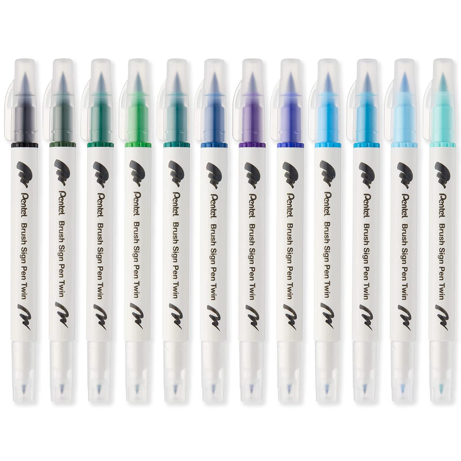 Pentel SESW30C Brush Sign Pen Twin Fibre Tip Pen - Double Ended - Water-based Ink - Cool Tones Pack of 12 - Blue/Green Ink