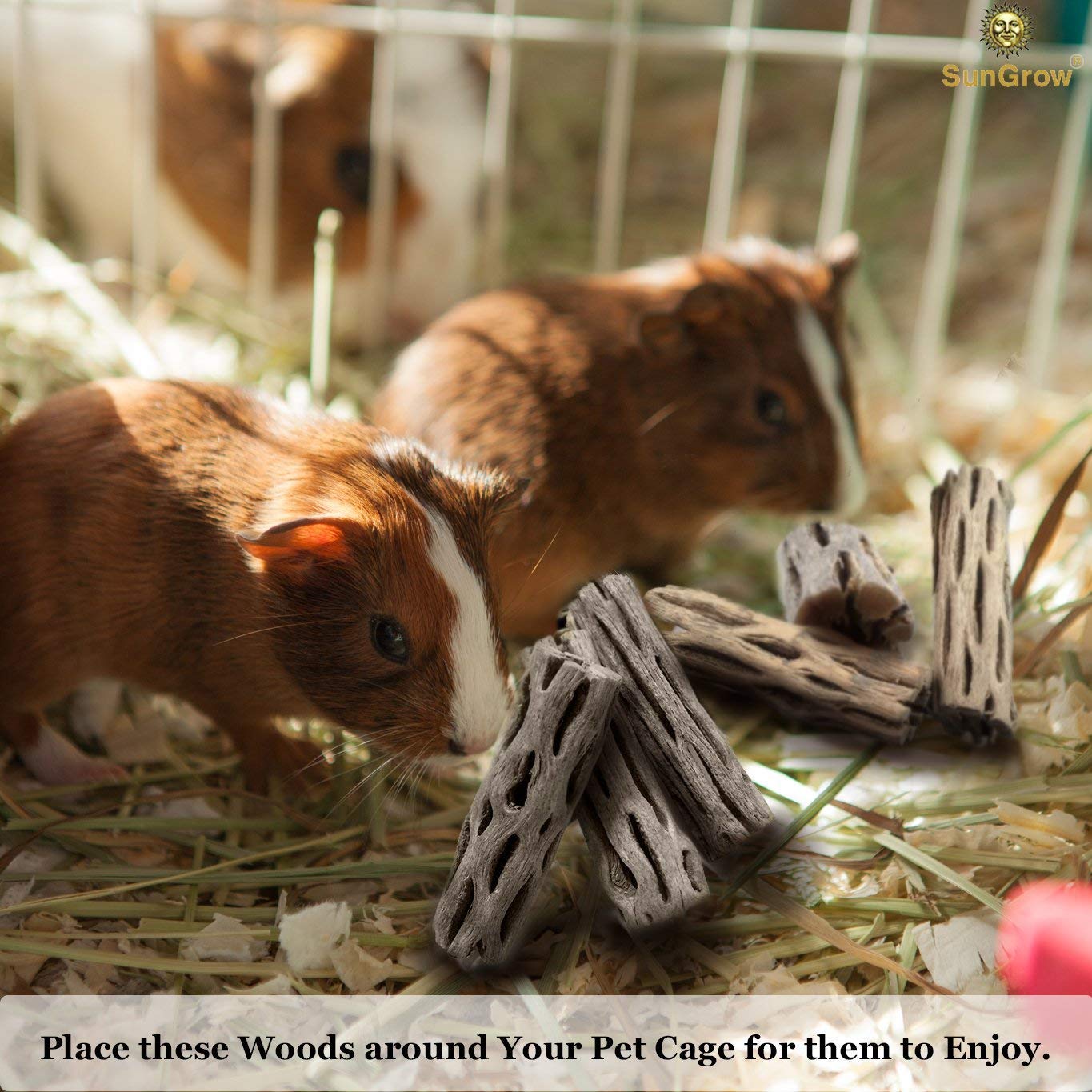 6-pcs Natural Cholla wood for Hamsters by SunGrow - 100% Organic soft wood, Non-Toxic, Pesticide-Free, Thorn-free - Chew toy for ferrets, guinea pigs, gerbils, mice, chinchillas - Perfect for climbing