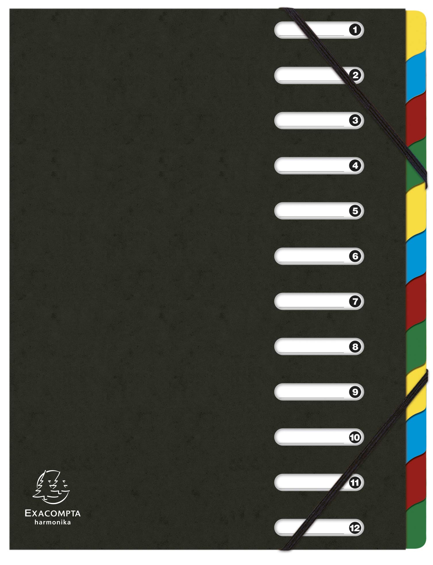 Exacompta - Ref 55121E - Harmonika Multipart File - 24.5 x 32cm in Size, Suitable for A4 Documents, 12 Multi-Coloured Tabbed Sections, Premium Pressboard Cover - Black Cover