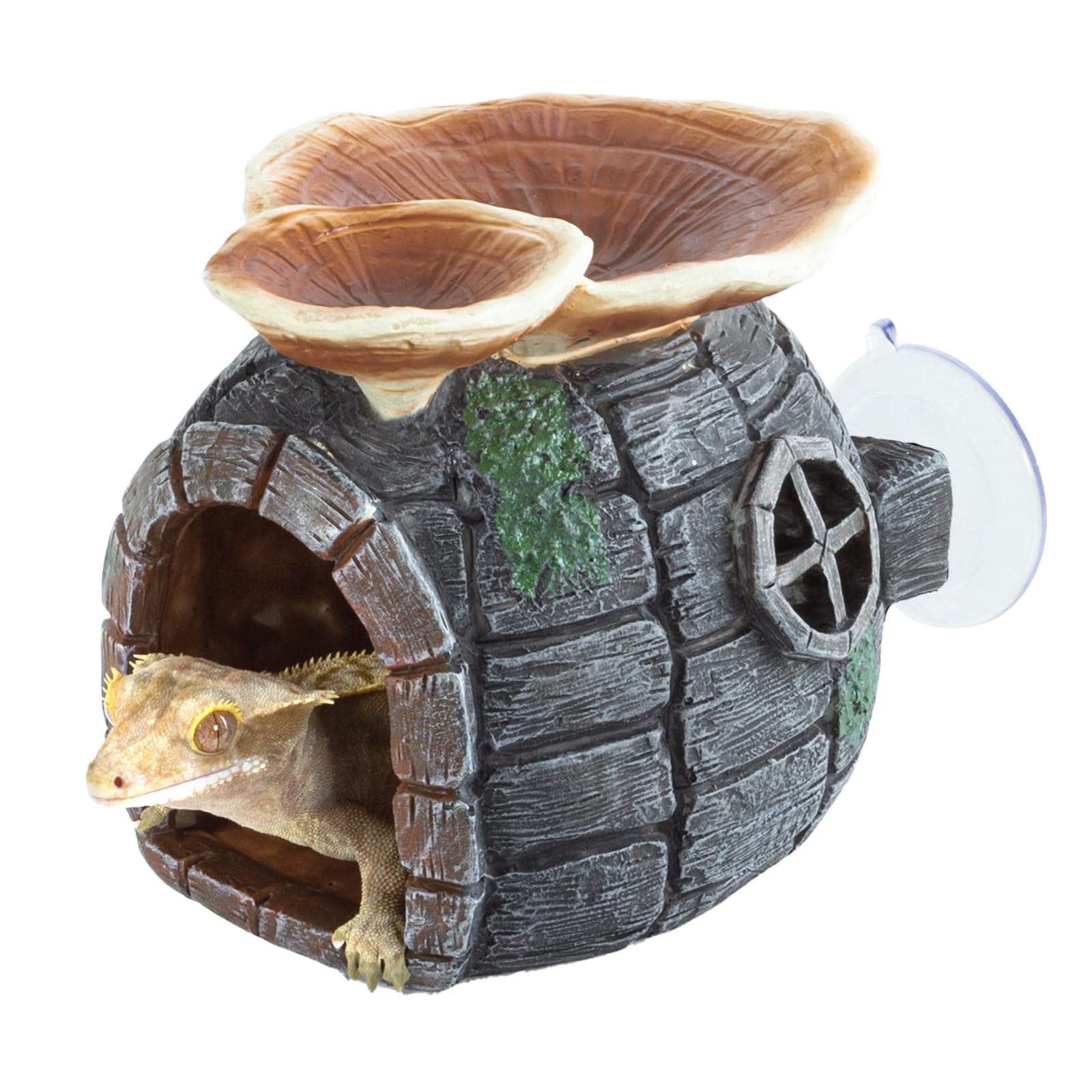 Photo 1 of REPTI ZOO Reptile Hide - Multifunctional Hides with Suction Cup, Resin Caves for Gecko, Lizard (Ganoderma Lucidum Shape)