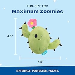 Barkbox 2 in 1 Interactive Plush Dog Toy - Rip and