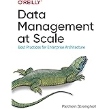 Data Management at Scale: Best Practices for Enterprise Architecture