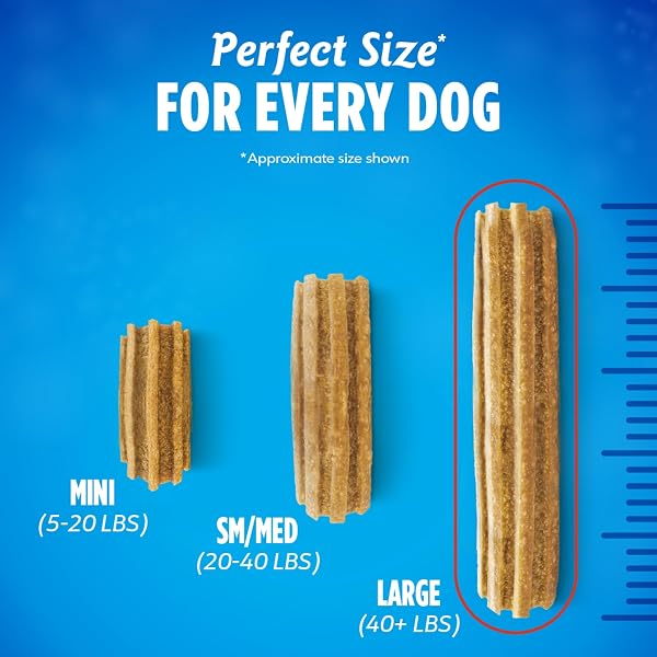 PURINA DENTALIFE DAILY ORAL CARE LARGE DOG TREATS, 20.7 OUNCE