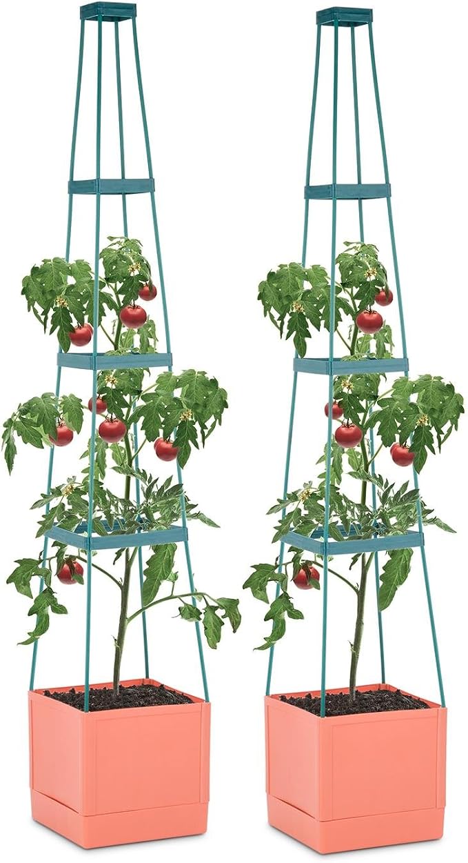 Waldbeck Tomato Tower Set 2 Macetas para tomate con tutor ...