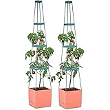 VASO DA FIORI Irrigazione E Fioriera Autoirrigazione Vaso Da Fiori - Foto 3