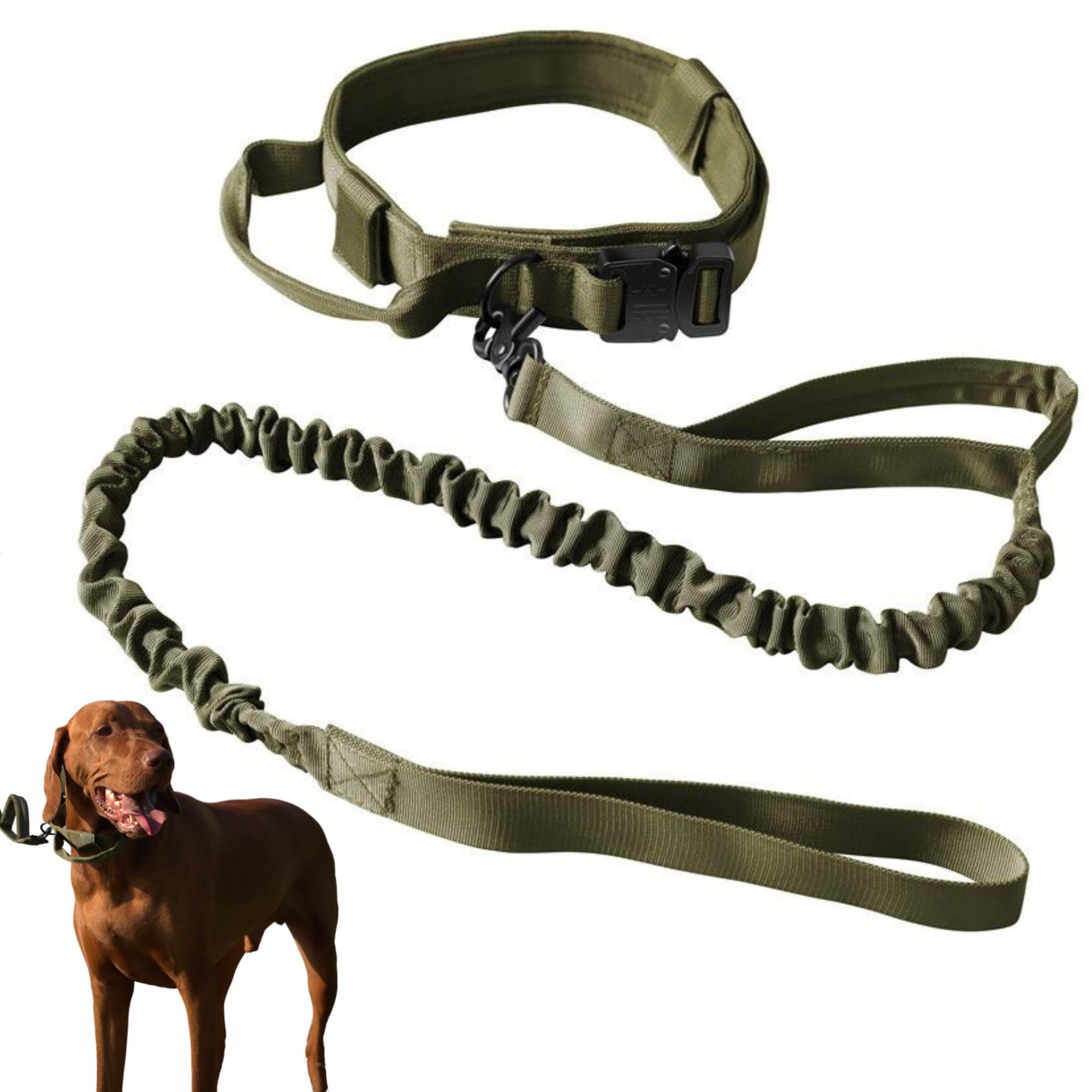 Merry Tails Tactical Dog Collar and Bungee Lead Set for Medium and Large Dogs with Quick Release Buckle A Handle for Control and Padded for Dog's Comfort (M, Army Green)