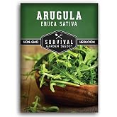 Arugula Seeds for Planting - Survival Garden Seeds (1 Pack) | Heirloom Rocket Salad Greens Seed for Indoor, Outdoor, Container &amp; Microgreen Growing, Fast-Growing Non-GMO Leafy Vegetable